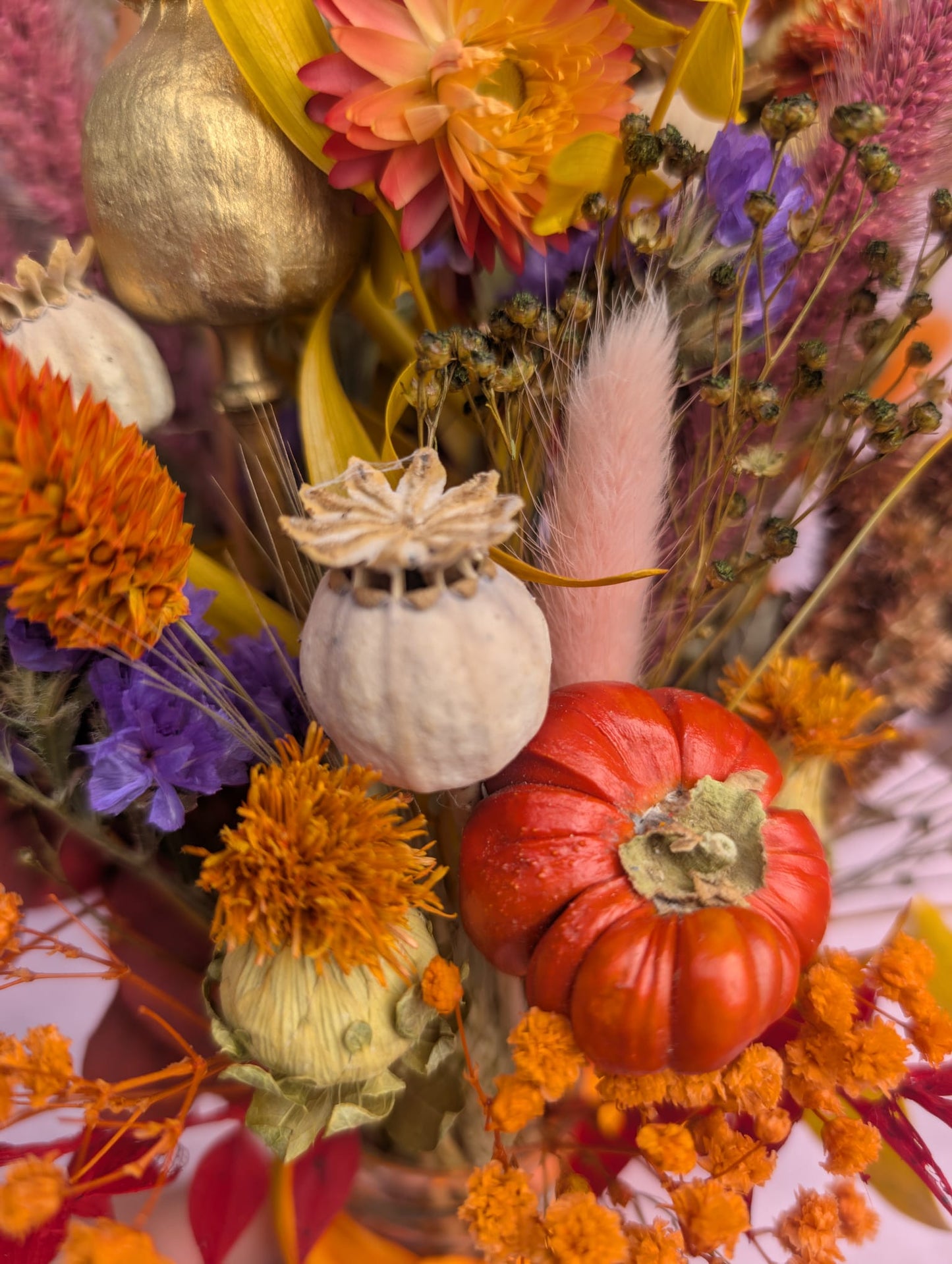 Pumpkin patch