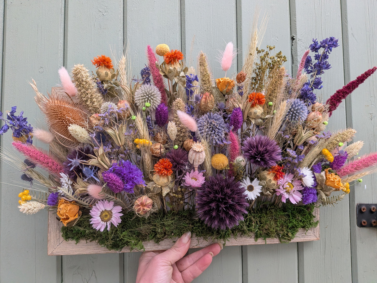 Wild botanical garden in frame