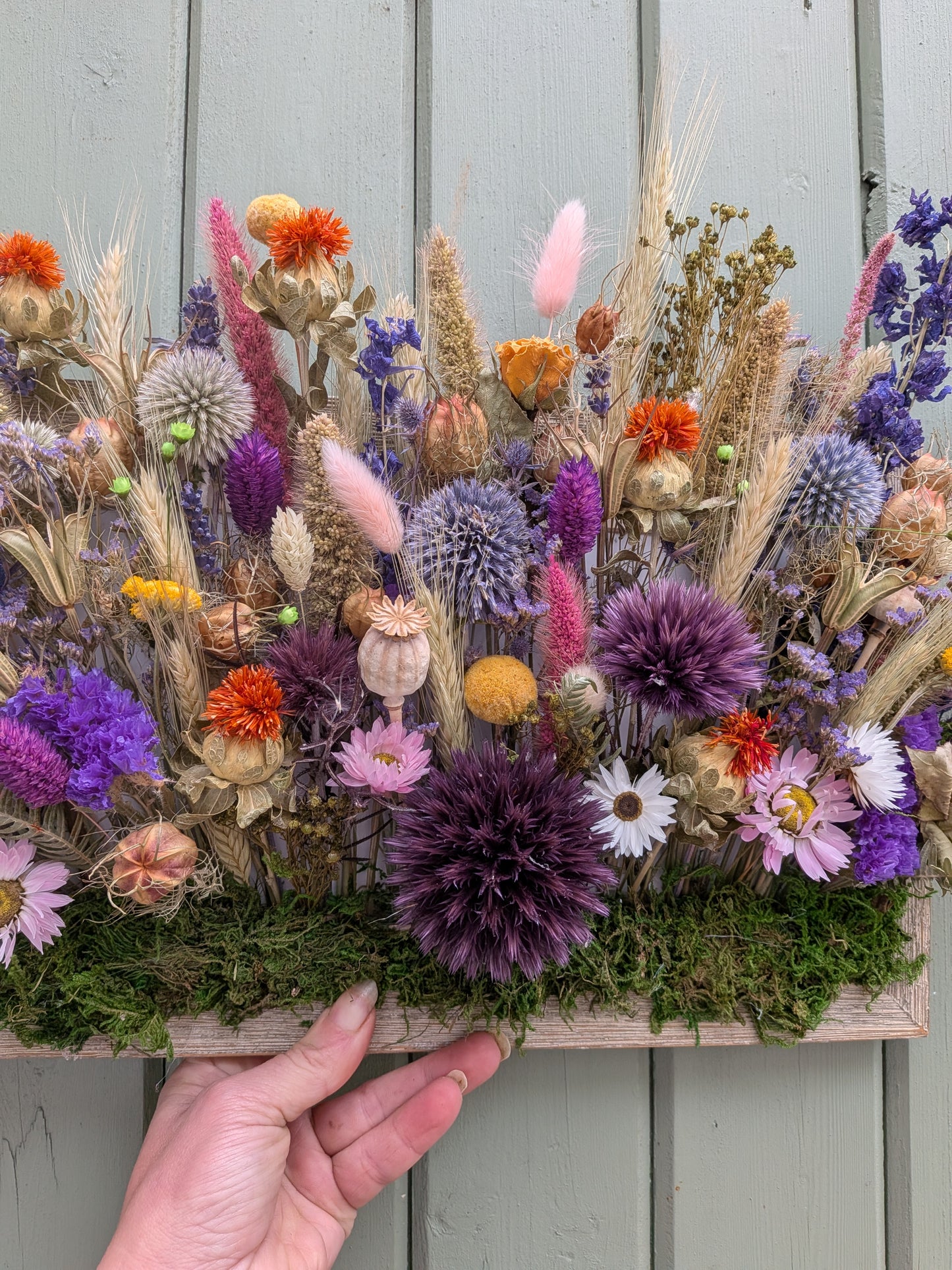 Wild botanical garden in frame