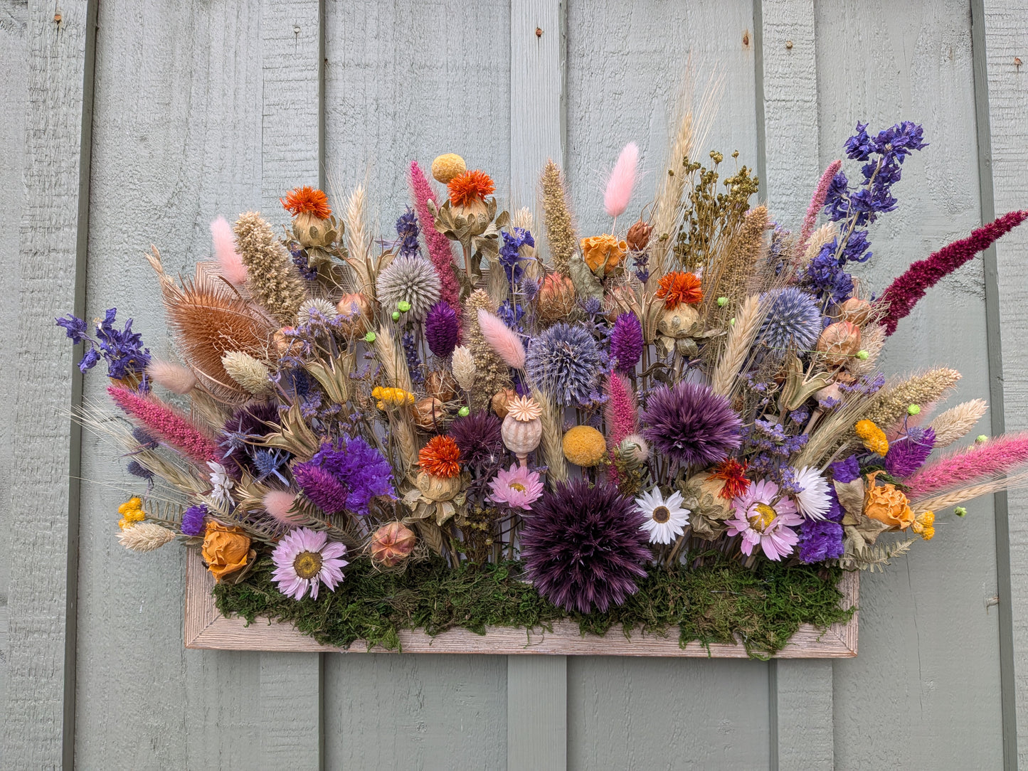 Wild botanical garden in frame