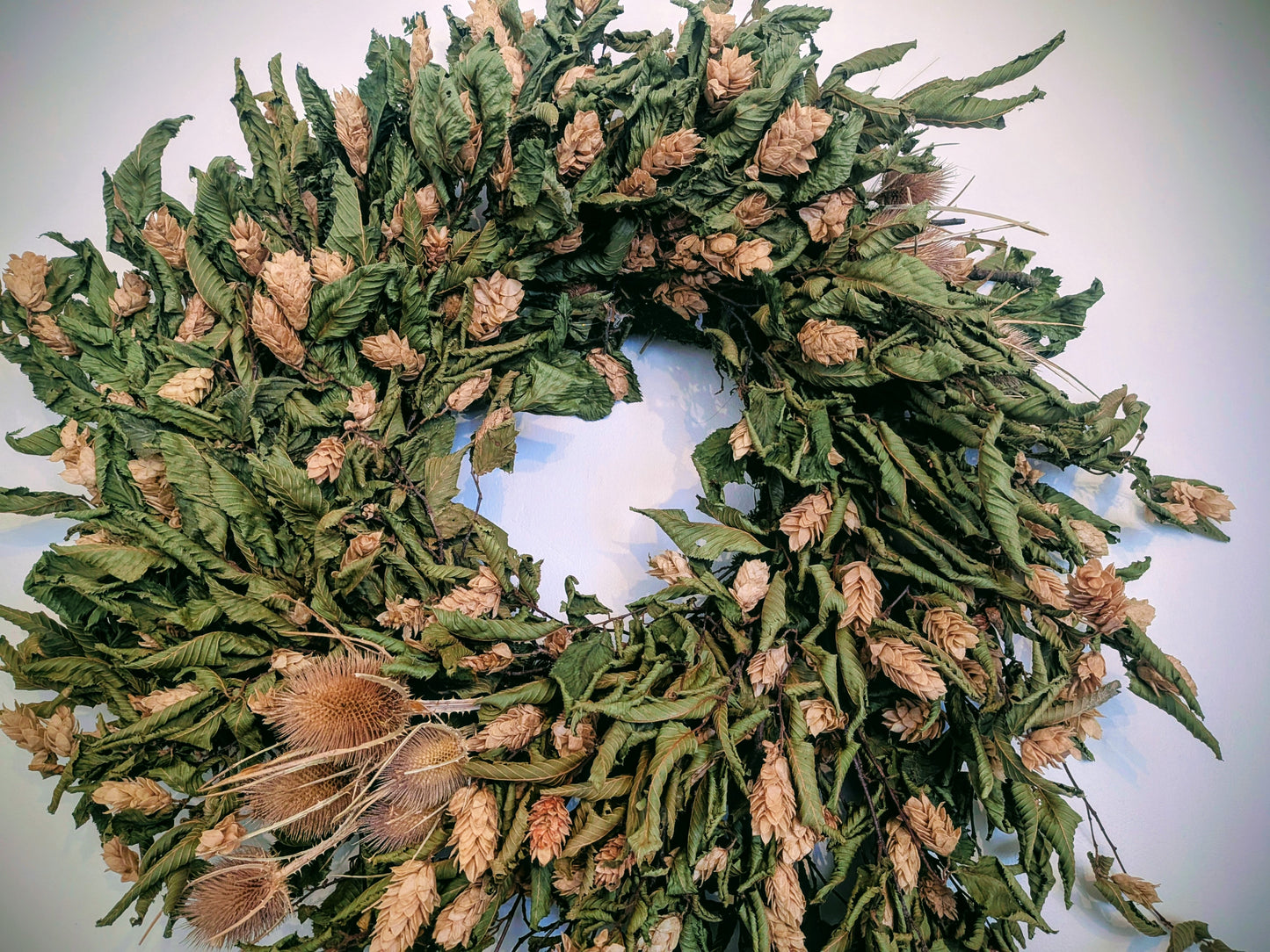 Pre order Dried hop wreath with thistle