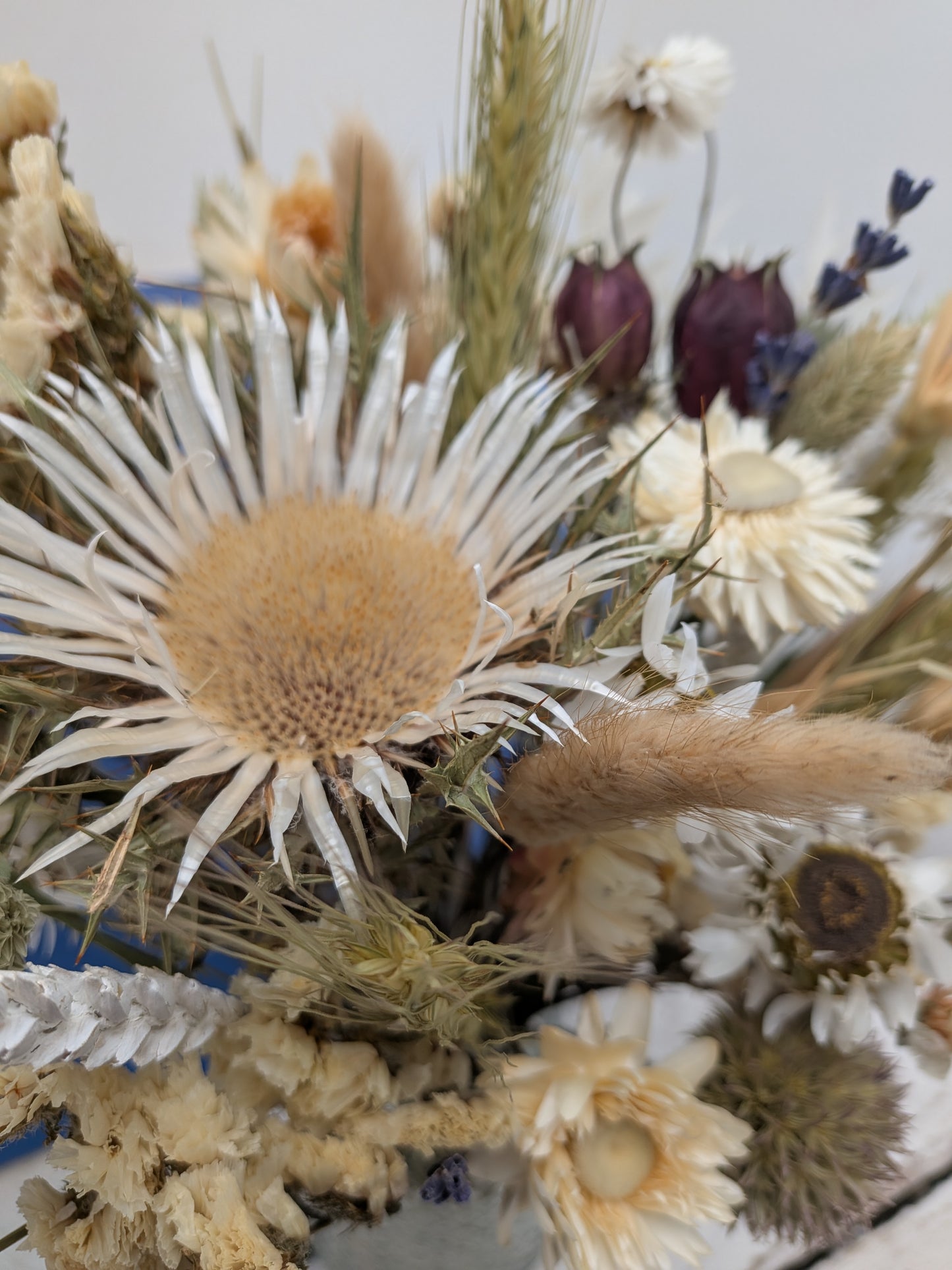 Country Side Bloom